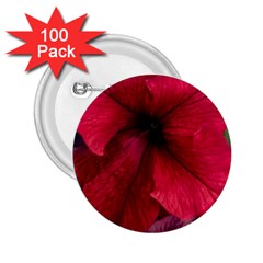 Red Peonies 100 Pack Regular Button (round) by Elanga