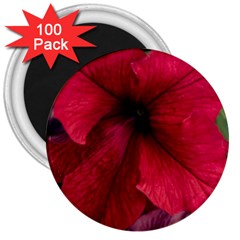 Red Peonies 100 Pack Large Magnet (round) by Elanga