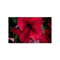 Red Peonies Sticker (rectangle) by Elanga