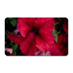 Red Peonies Large Sticker Magnet (rectangle) by Elanga