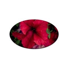 Red Peonies 100 Pack Sticker (oval)