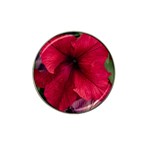 Red Peonies Golf Ball Marker (for Hat Clip) Front