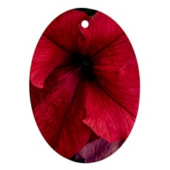 Red Peonies Oval Ornament (two Sides) by Elanga