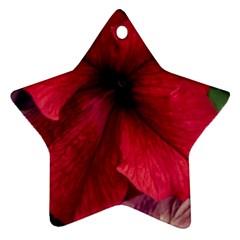 Red Peonies Twin-sided Ceramic Ornament (star) by Elanga