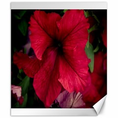 Red Peonies 20  X 24  Unframed Canvas Print