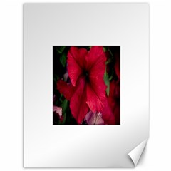 Red Peonies 36  X 48  Unframed Canvas Print by Elanga