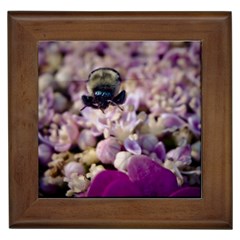 Flying Bumble Bee Framed Ceramic Tile