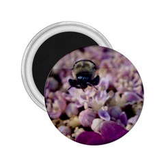 Flying Bumble Bee Regular Magnet (round) by Elanga