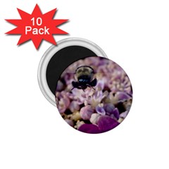 Flying Bumble Bee 10 Pack Small Magnet (round)