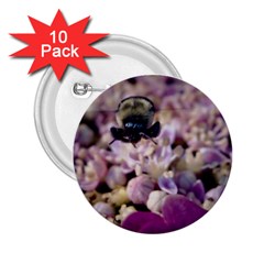 Flying Bumble Bee 10 Pack Regular Button (round)