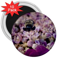 Flying Bumble Bee 10 Pack Large Magnet (round) by Elanga