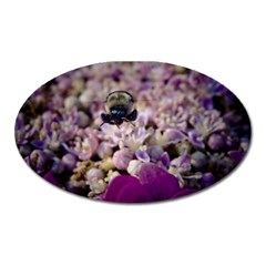 Flying Bumble Bee Large Sticker Magnet (oval) by Elanga