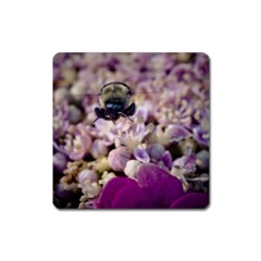 Flying Bumble Bee Large Sticker Magnet (square) by Elanga