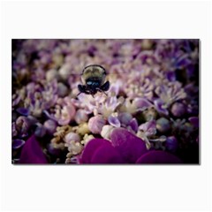 Flying Bumble Bee 10 Pack Small Postcard by Elanga