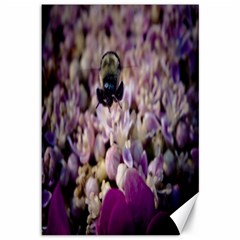 Flying Bumble Bee 12  X 18  Unframed Canvas Print by Elanga