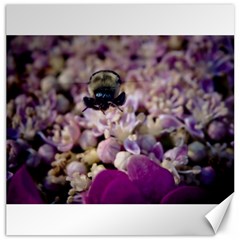 Flying Bumble Bee 20  X 20  Unframed Canvas Print by Elanga