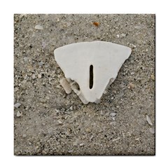 Quarter Of A Sand Dollar Ceramic Tile