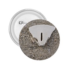 Quarter Of A Sand Dollar Regular Button (round) by Elanga