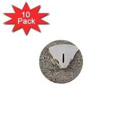 Quarter Of A Sand Dollar 10 Pack Mini Button (round) by Elanga