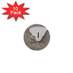 Quarter of a Sand Dollar 10 Pack Mini Button (Round) Front