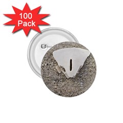 Quarter Of A Sand Dollar 100 Pack Small Button (round) by Elanga