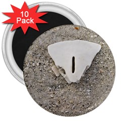 Quarter Of A Sand Dollar 10 Pack Large Magnet (round) by Elanga