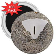 Quarter Of A Sand Dollar 100 Pack Large Magnet (round)