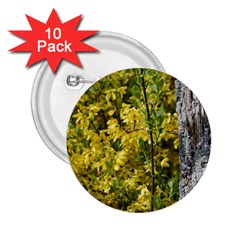 Yellow Bells 10 Pack Regular Button (round) by Elanga