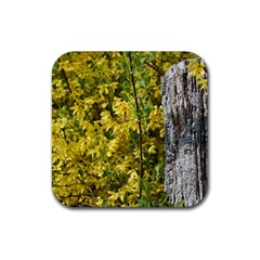 Yellow Bells Rubber Drinks Coaster (square)