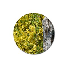 Yellow Bells Large Sticker Magnet (round)