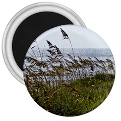 Cocoa Beach, Fl Large Magnet (round) by Elanga