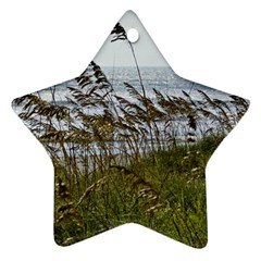 Cocoa Beach, Fl Ceramic Ornament (star) by Elanga