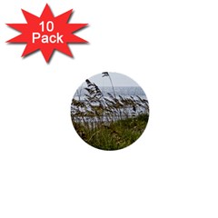 Cocoa Beach, Fl 10 Pack Mini Button (round)