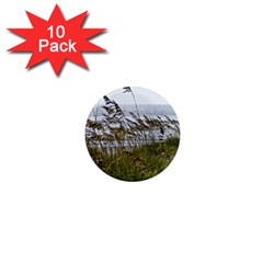 Cocoa Beach, Fl 10 Pack Mini Magnet (round) by Elanga