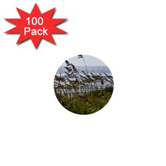 Cocoa Beach, Fl 100 Pack Mini Button (round) by Elanga