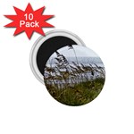 Cocoa Beach, Fl 10 Pack Small Magnet (Round) Front