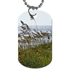 Cocoa Beach, Fl Single-sided Dog Tag by Elanga