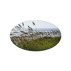 Cocoa Beach, Fl 100 Pack Sticker (oval) by Elanga