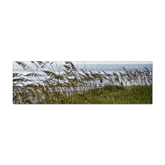 Cocoa Beach, Fl 100 Pack Bumper Sticker by Elanga