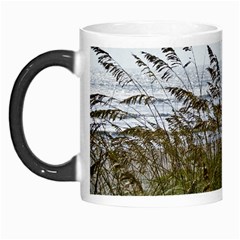 Cocoa Beach, Fl Morph Mug by Elanga