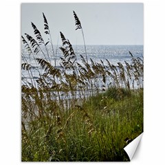 Cocoa Beach, Fl 12  X 16  Unframed Canvas Print by Elanga