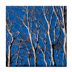 Trees On Blue Sky Ceramic Tile by Elanga