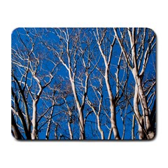 Trees On Blue Sky Small Mouse Pad (rectangle) by Elanga