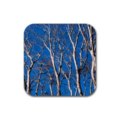 Trees On Blue Sky Rubber Drinks Coaster (square) by Elanga