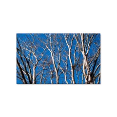 Trees On Blue Sky Sticker (rectangle) by Elanga