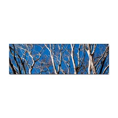 Trees On Blue Sky Bumper Sticker by Elanga