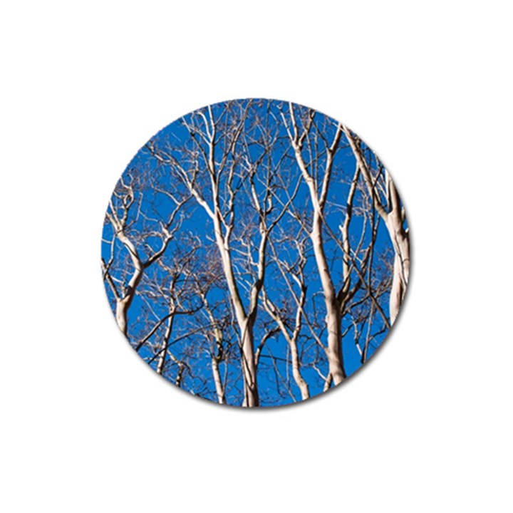 Trees on Blue Sky Large Sticker Magnet (Round)