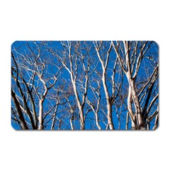 Trees On Blue Sky Large Sticker Magnet (rectangle) by Elanga