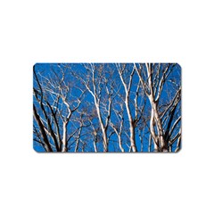 Trees On Blue Sky Name Card Sticker Magnet by Elanga