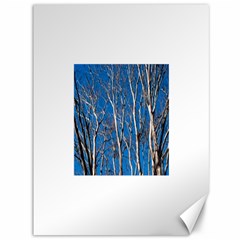 Trees On Blue Sky 36  X 48  Unframed Canvas Print by Elanga